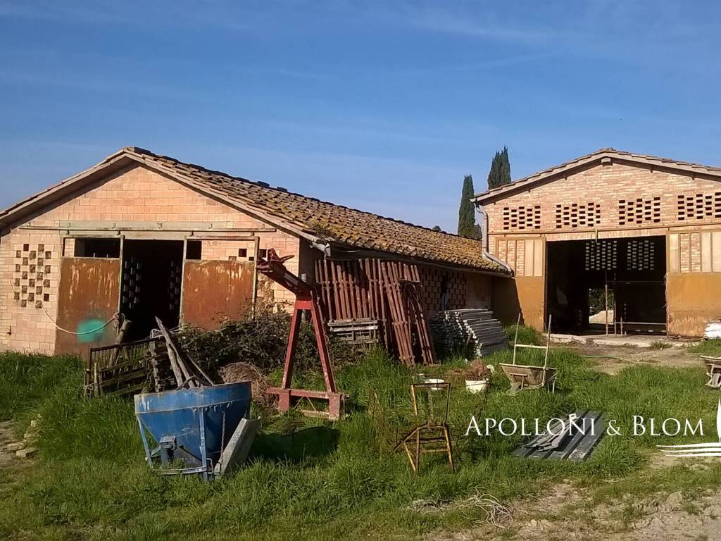 Rustico / casale a Siena in Strada Radi - Foto 4