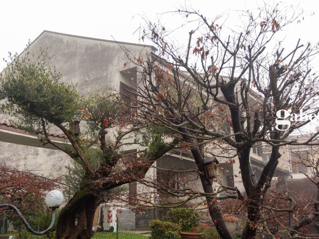 Villa a Ornago in Via Pascoli, 8 - Foto 2