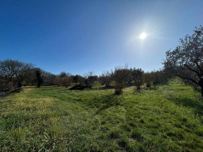 Terreno a Vasanello in Via Benedetto Croce, 24 - Foto 2