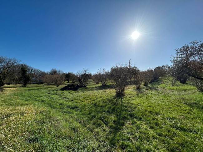 Terreno a Vasanello in Via Benedetto Croce, 24 - Foto 3