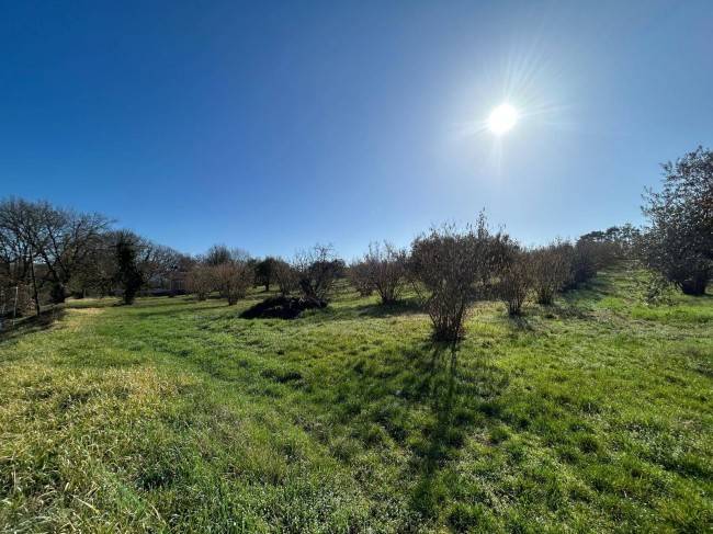 Terreno a Vasanello in Via Benedetto Croce, 24 - Foto 5