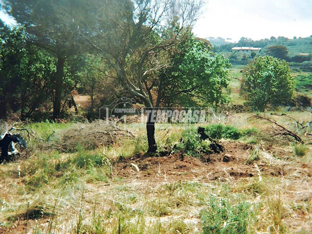 Terreno a Rometta - Foto 3