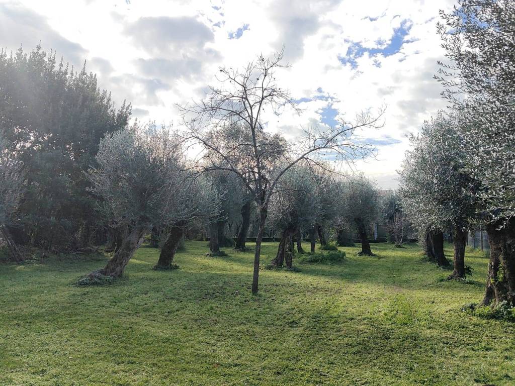 Palazzo / stabile a Seravezza - Foto 5