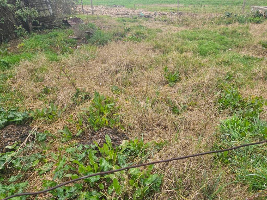 Rustico / casale a Altopascio in Via delle Colombaie - Foto 2