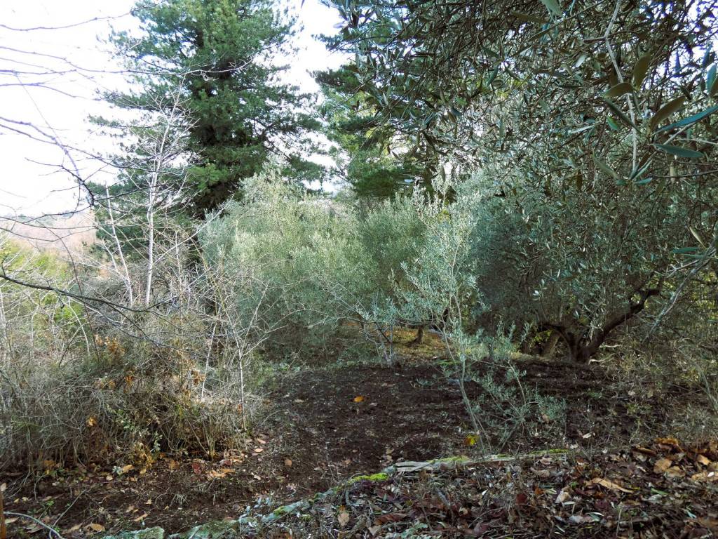 Terreno a Castiglione di sicilia in Strada Regionale Mareneve - Foto 2