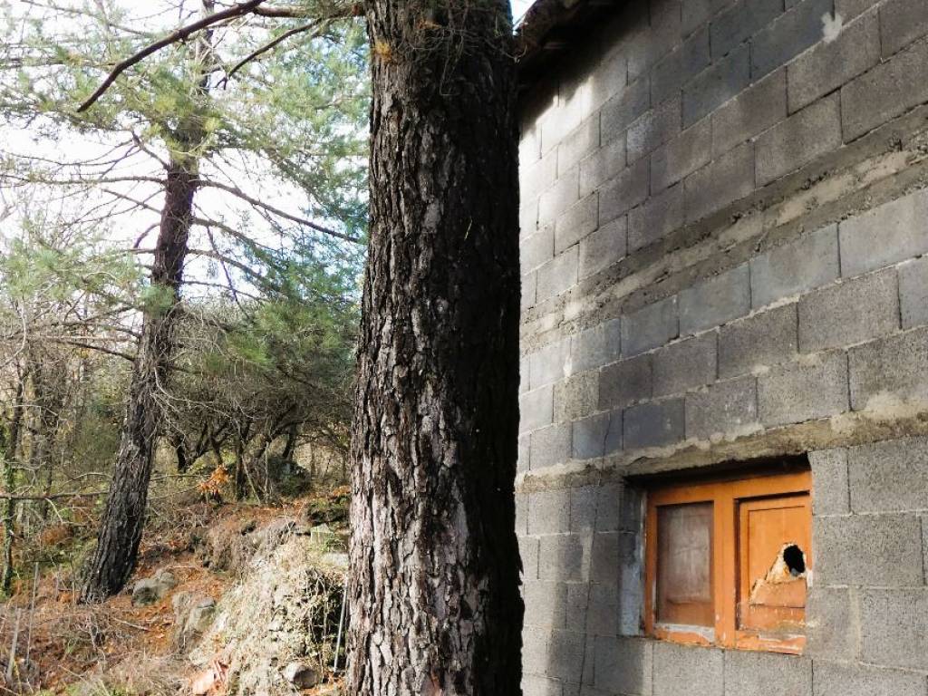 Terreno a Castiglione di sicilia in Strada Regionale Mareneve - Foto 3