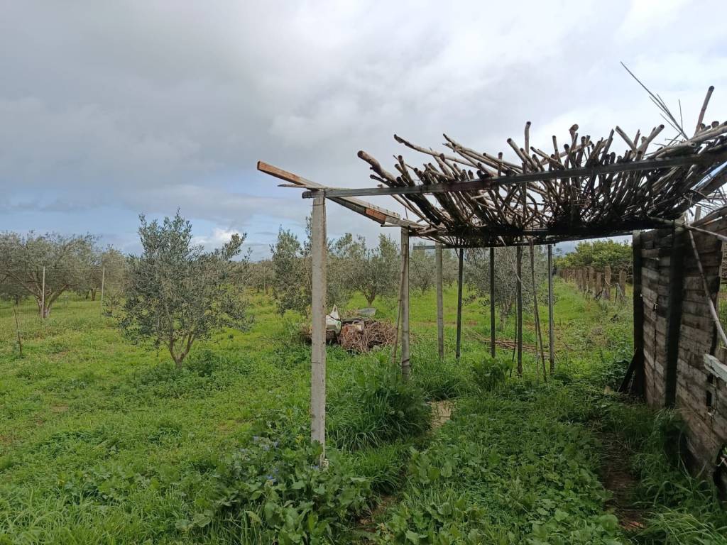 Terreno a Balestrate in SS187 - Foto 4