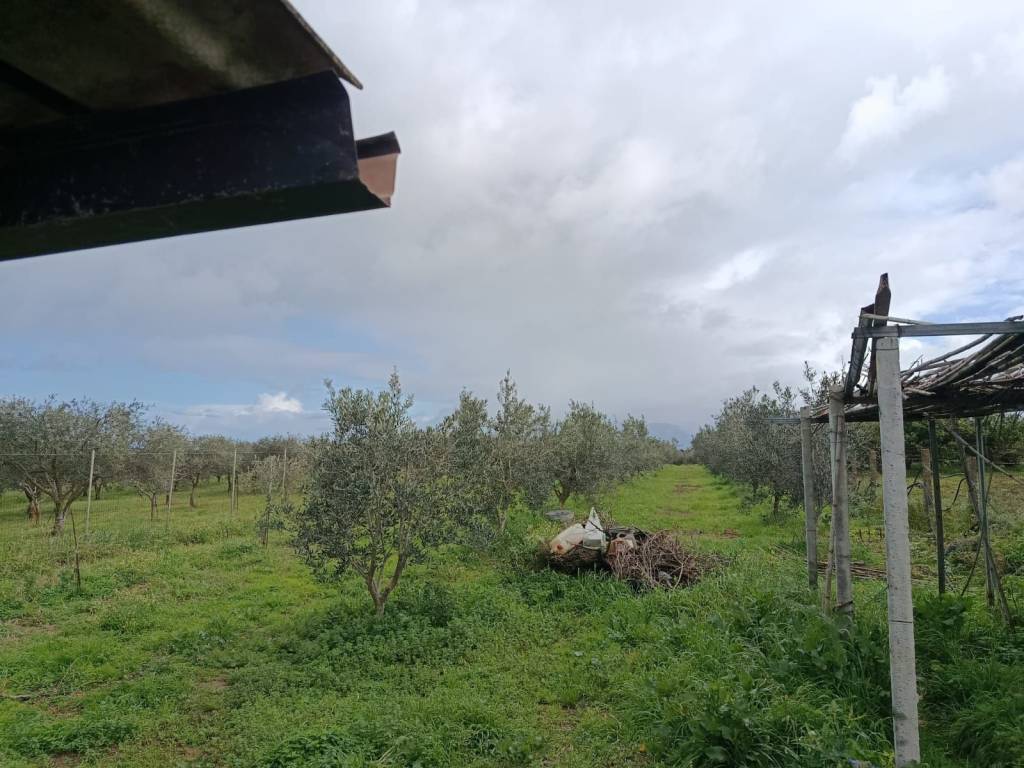 Terreno a Balestrate in SS187 - Foto 5