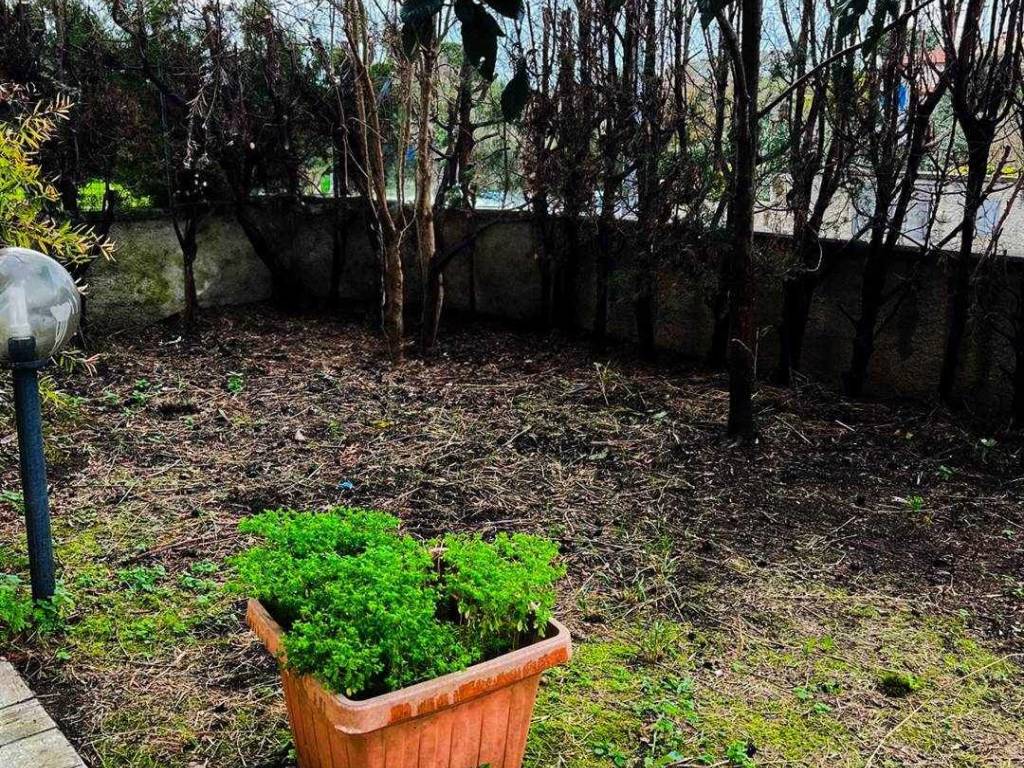 Appartamento a Bibbona - Foto 2