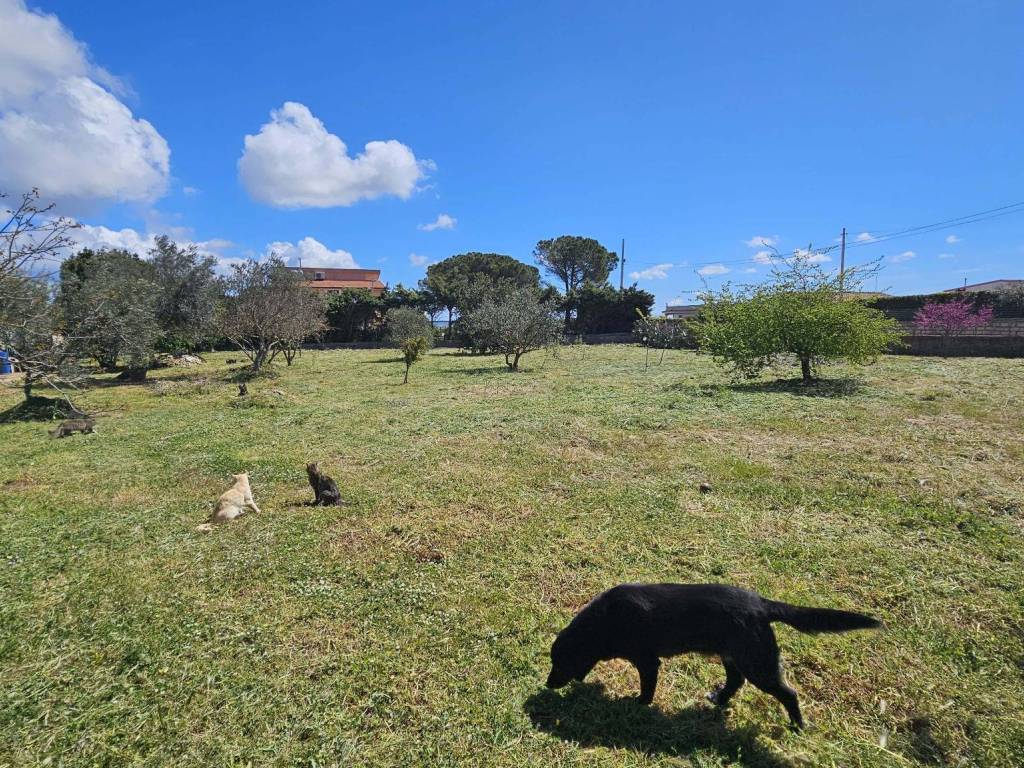 Terreno a Ragusa in Via dei Narcisi - Foto 4