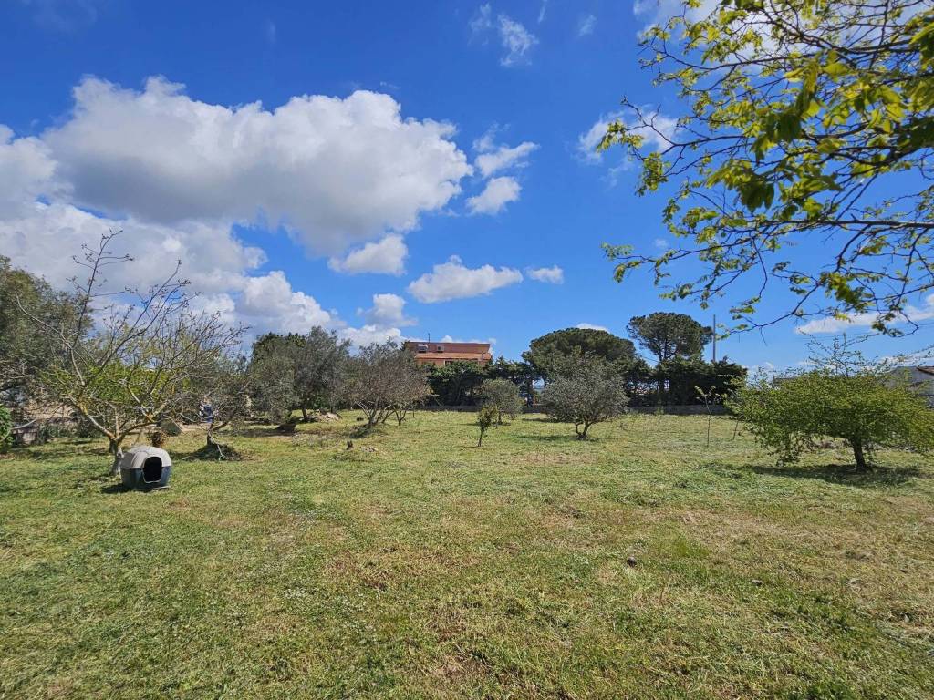 Terreno a Ragusa in Via dei Narcisi - Foto 5