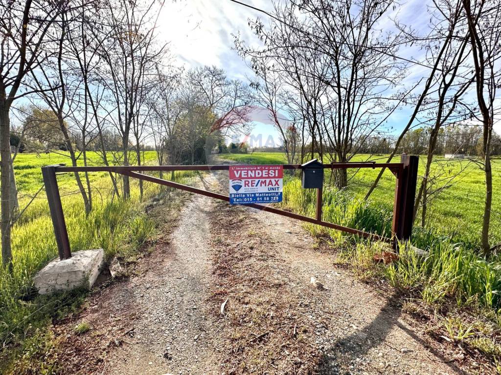 Rustico / casale a Salussola in Via Per Massazza - Foto 2