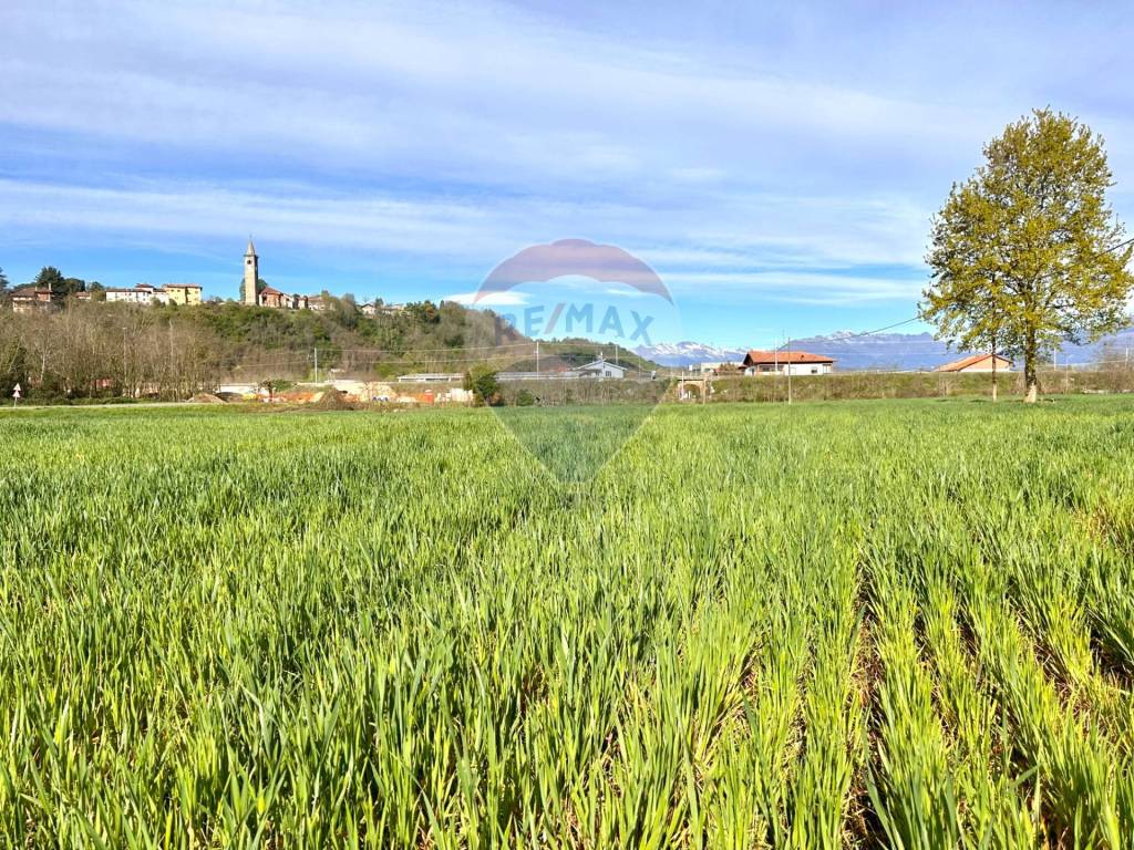 Rustico / casale a Salussola in Via Per Massazza - Foto 3