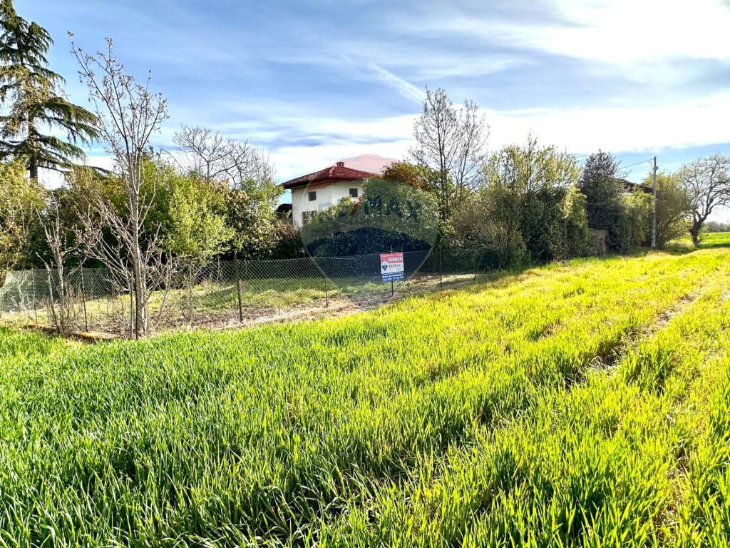 Rustico / casale a Salussola in Via Per Massazza - Foto 5