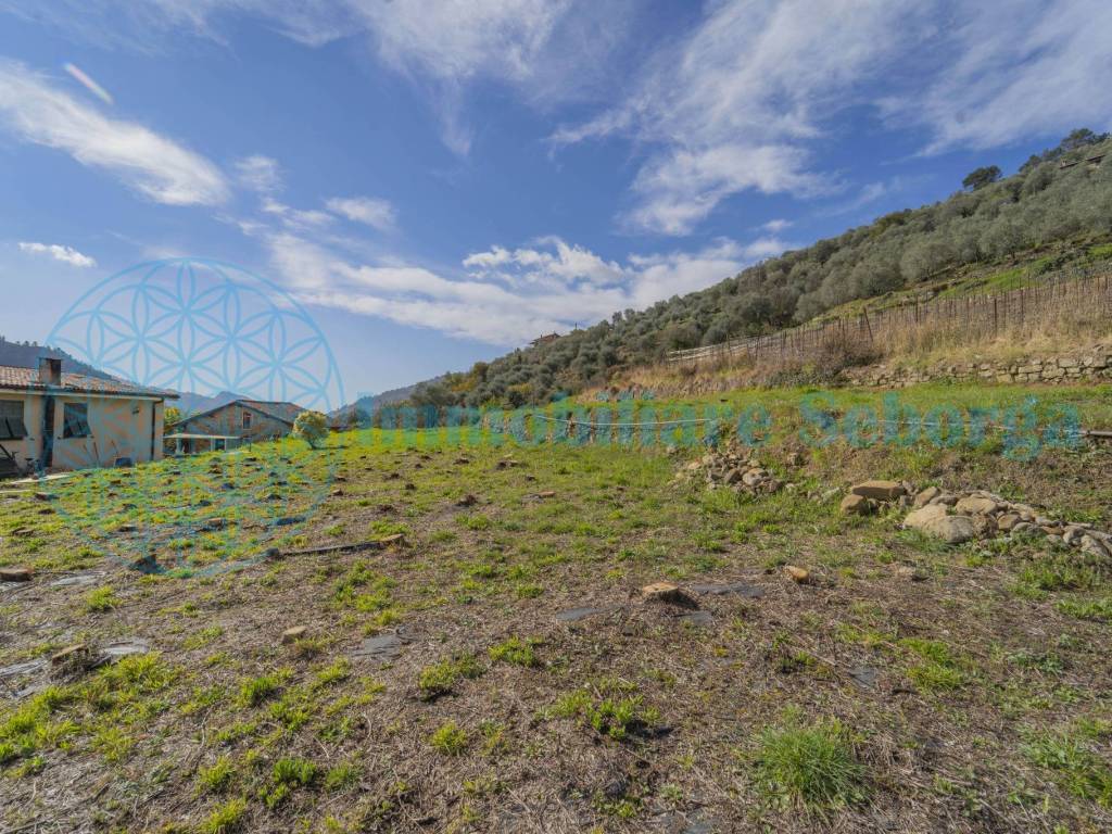 Terreno a Dolceacqua - Foto 3
