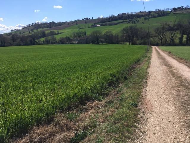 Terreno a Recanati in Contrada Saletta - Foto 4