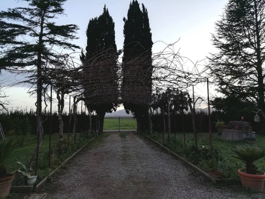 Rustico / casale a Castiglione della pescaia - Foto 2