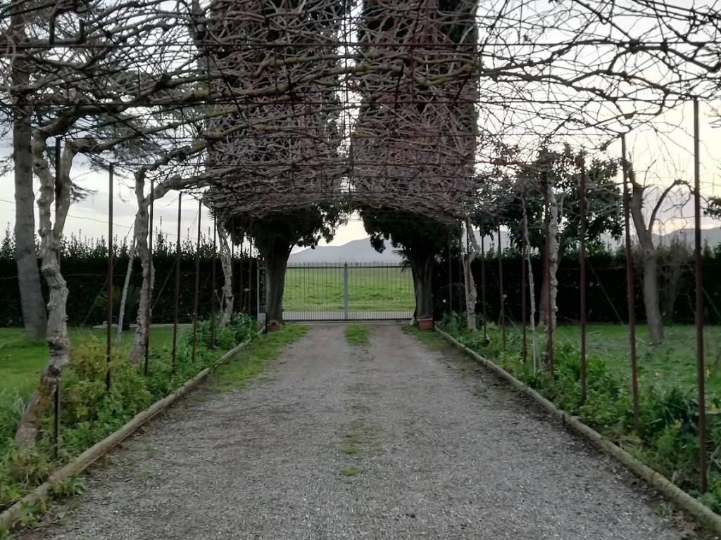 Rustico / casale a Castiglione della pescaia - Foto 4