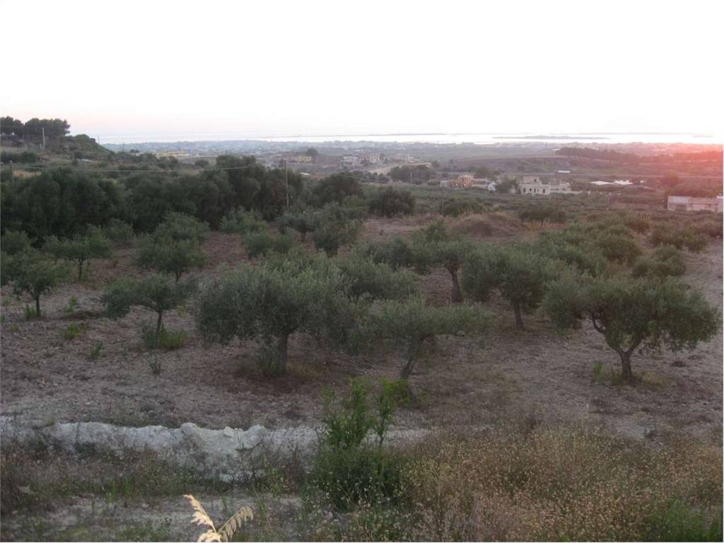 Terreno a Marsala - Foto 4