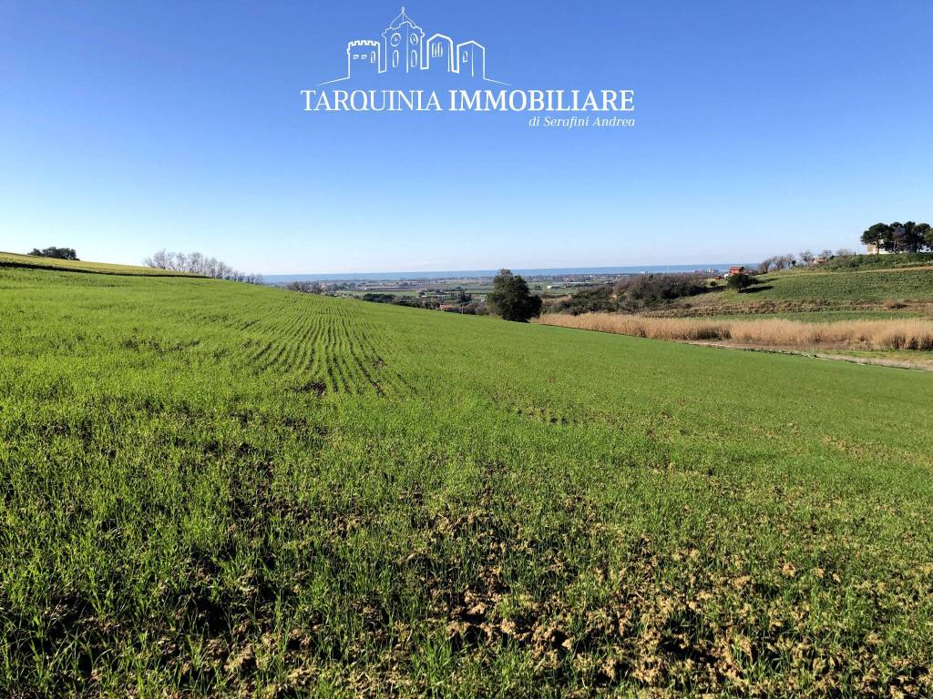 Terreno a Tarquinia in Strada Vicinale dell'Acquetta - Foto 2