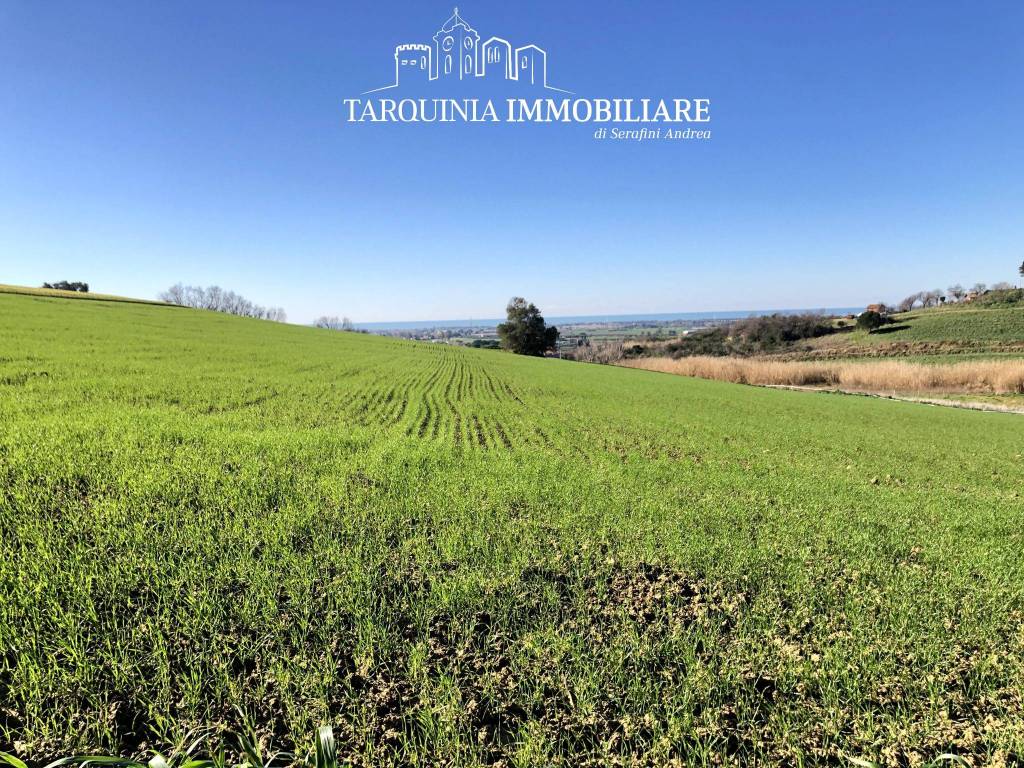 Terreno a Tarquinia in Strada Vicinale dell'Acquetta - Foto 3