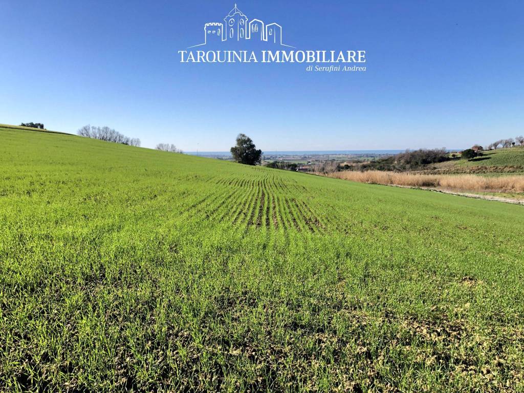 Terreno a Tarquinia in Strada Vicinale dell'Acquetta - Foto 4