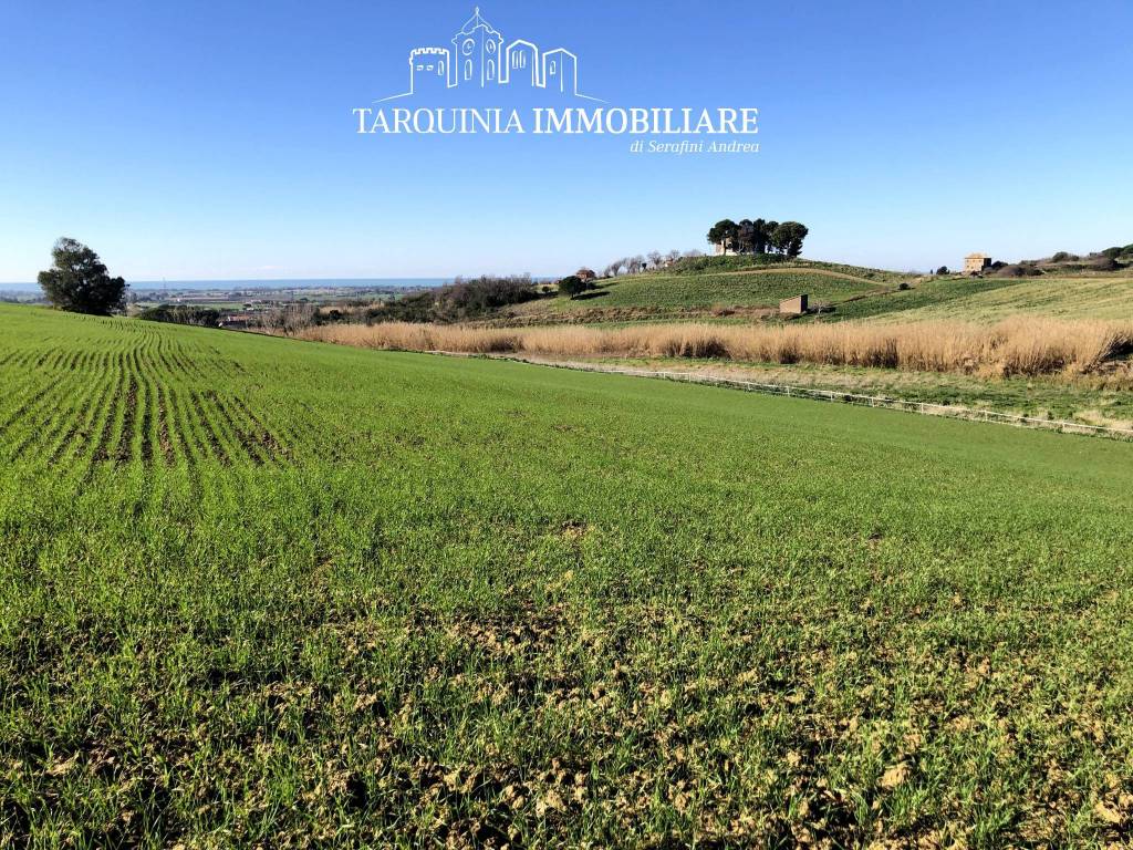 Terreno a Tarquinia in Strada Vicinale dell'Acquetta - Foto 5