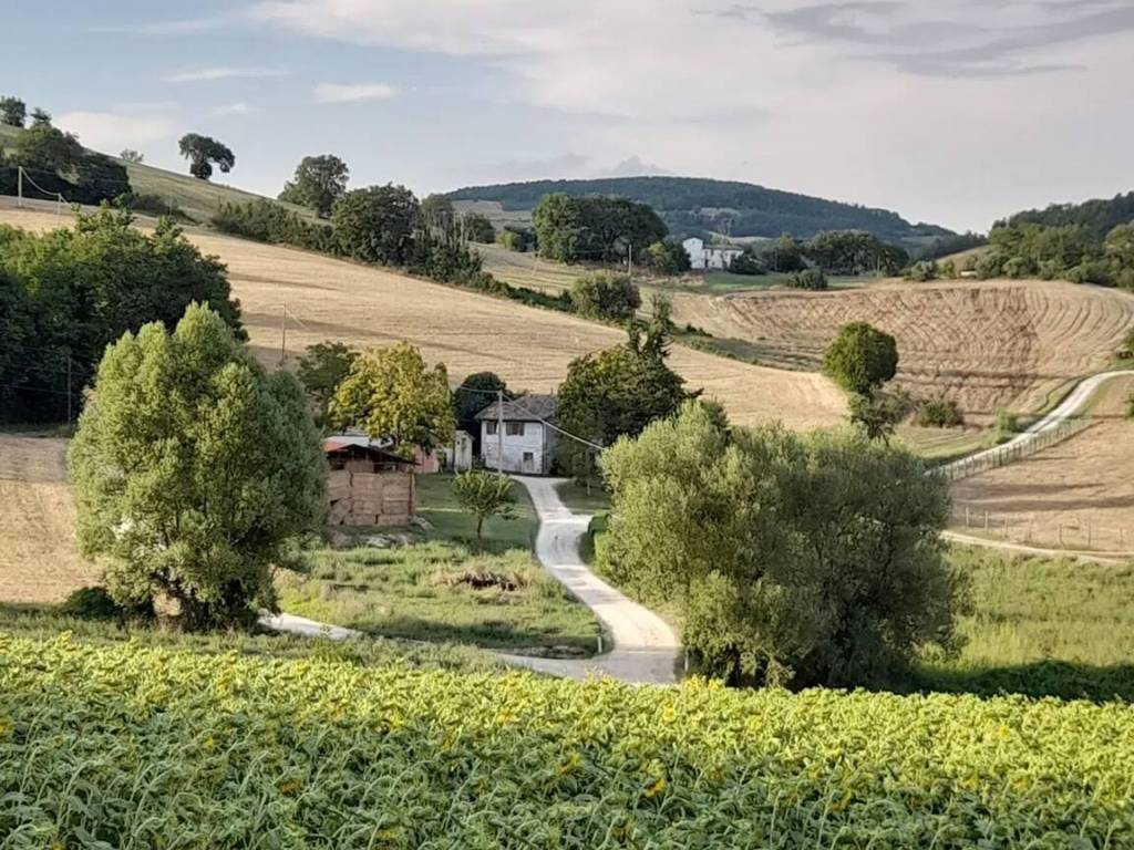 Villa a Pergola in Serra Spinosa S.N.C. - Foto 2