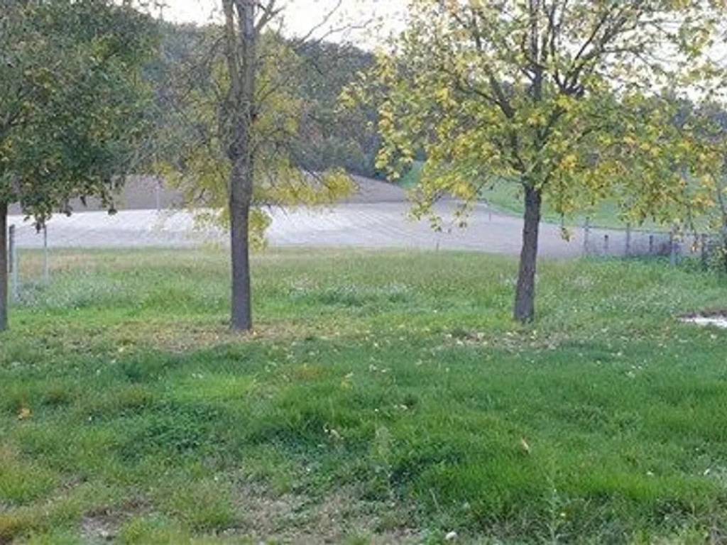 Rustico / casale a Pergola in Via Val Rea, 5 - Foto 5