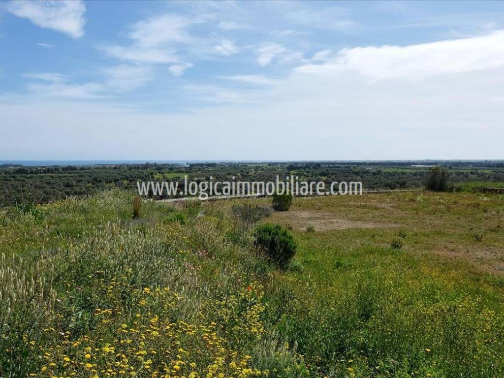 Villa a Carovigno in SP37 - Foto 3