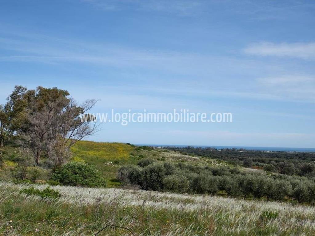 Villa a Carovigno in SP37 - Foto 5