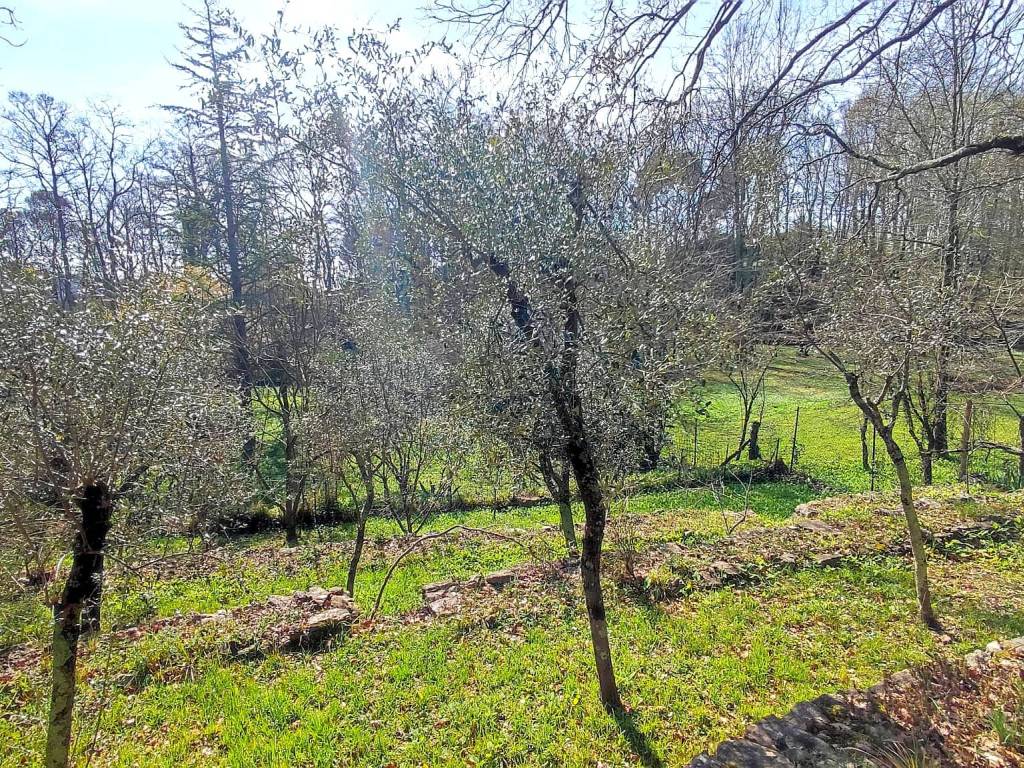 Villa a Lerici - Foto 3