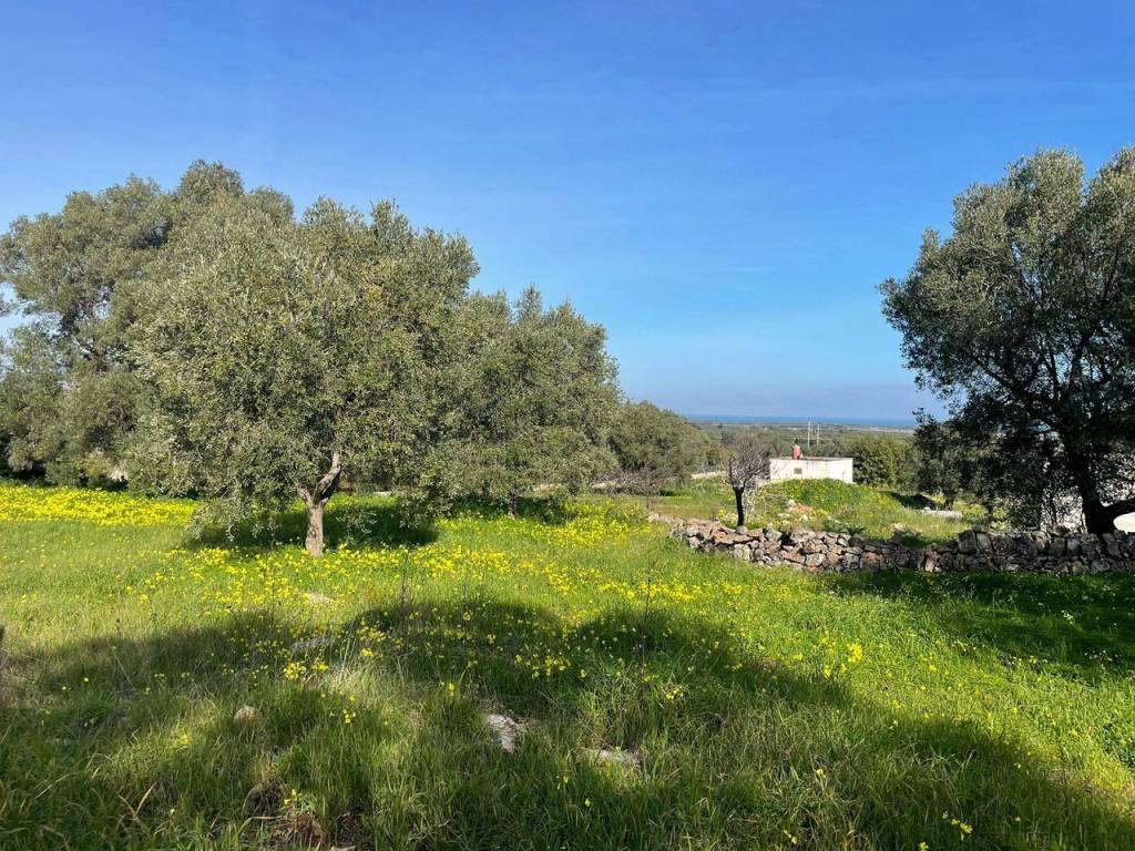 Terreno a Carovigno - Foto 4