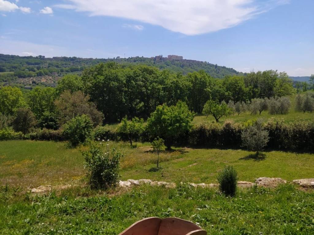 Villa a Amelia - Foto 5