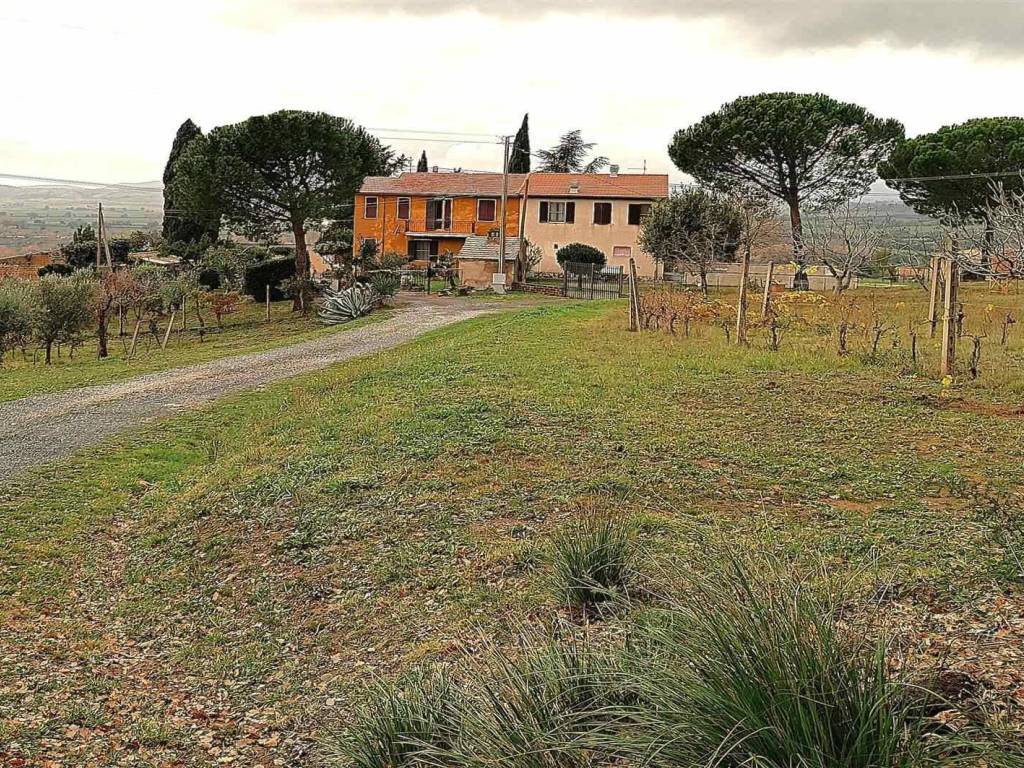 Rustico / casale a Cinigiano in ZONA OLTRE LA LOCALITA' GRANAIONE - Foto 3