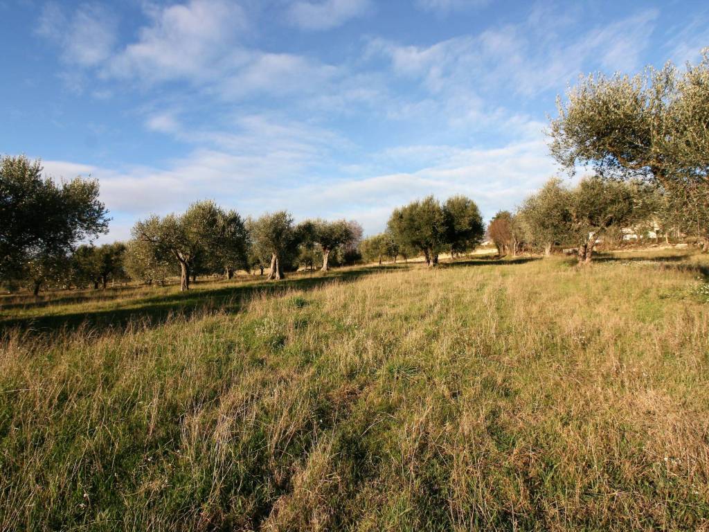 Terreno a Civitanova marche - Foto 2