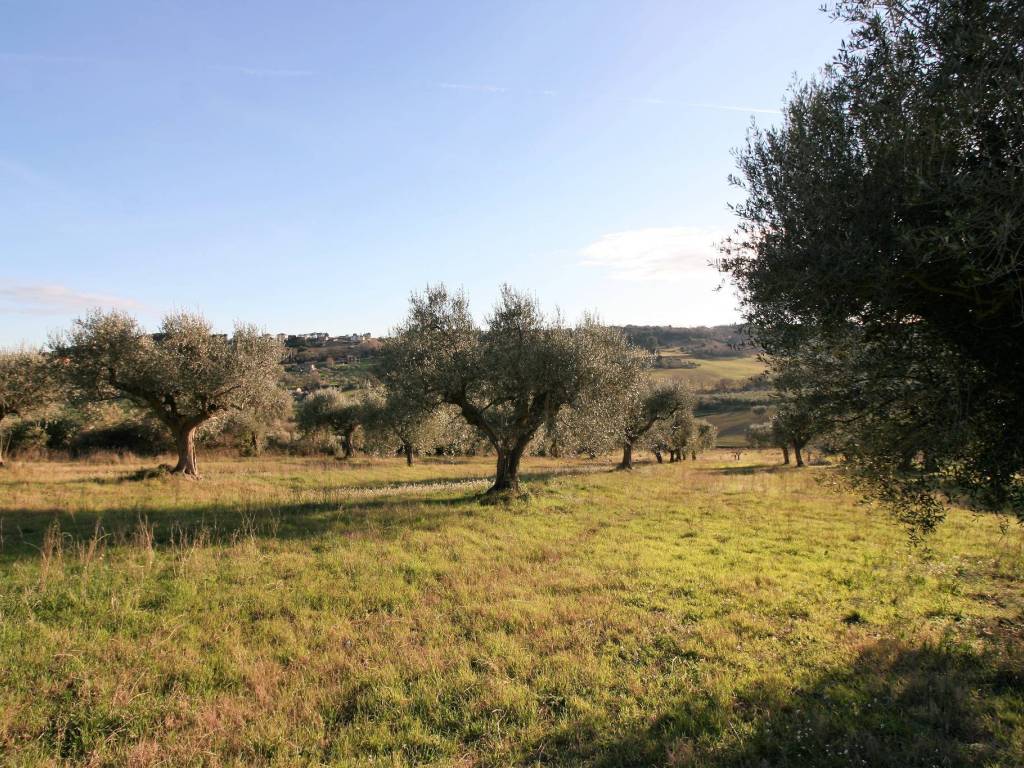 Terreno a Civitanova marche - Foto 3