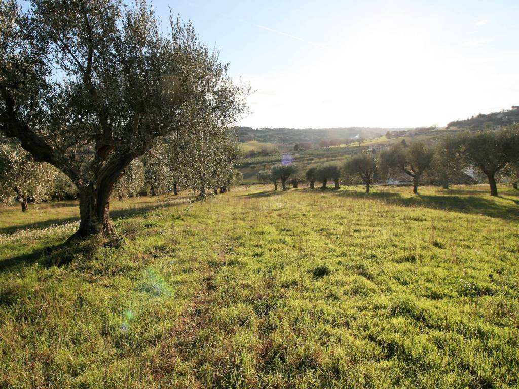 Terreno a Civitanova marche - Foto 4