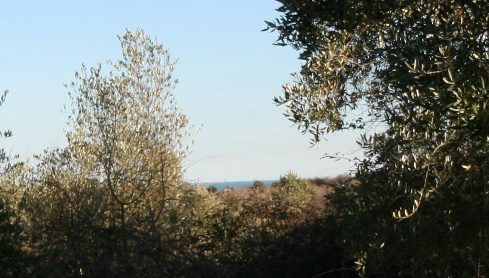 Terreno a Civitanova marche - Foto 5