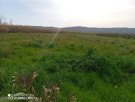 Terreno a Paglieta - Foto 2