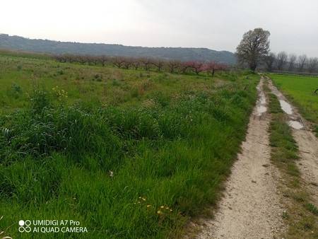 Terreno a Paglieta - Foto 3