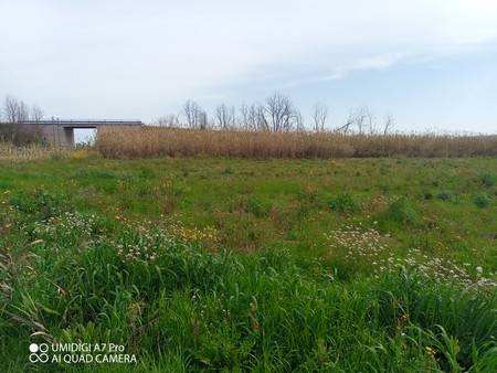 Terreno a Paglieta - Foto 4