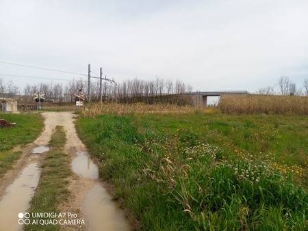 Terreno a Paglieta - Foto 5