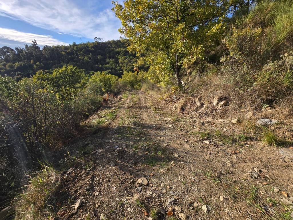 Terreno a Castellaro in Regione Lampedusa - Foto 3
