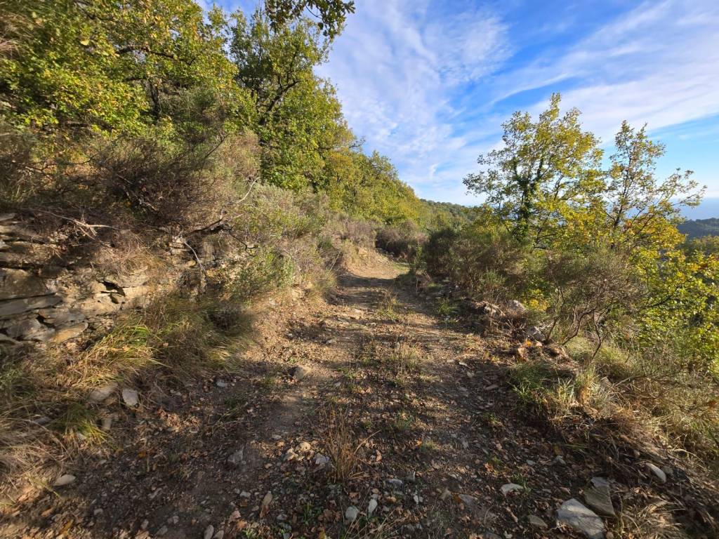 Terreno a Castellaro in Regione Lampedusa - Foto 4