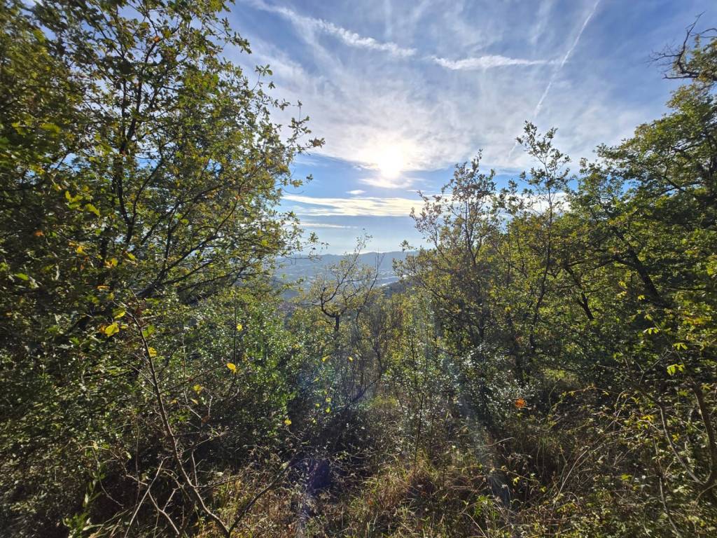 Terreno a Castellaro in Regione Lampedusa - Foto 5