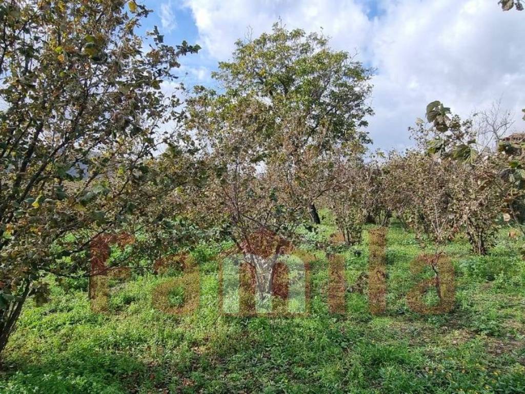 Terreno a Mugnano del cardinale - Foto 3
