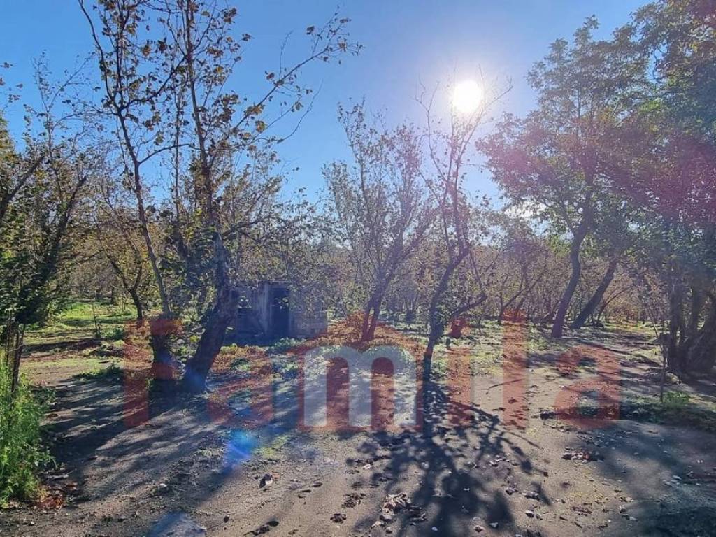 Terreno a Avella in Via Santa Croce - Foto 3