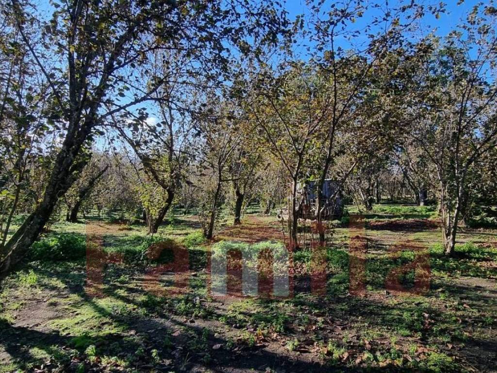 Terreno a Avella in Via Santa Croce - Foto 4