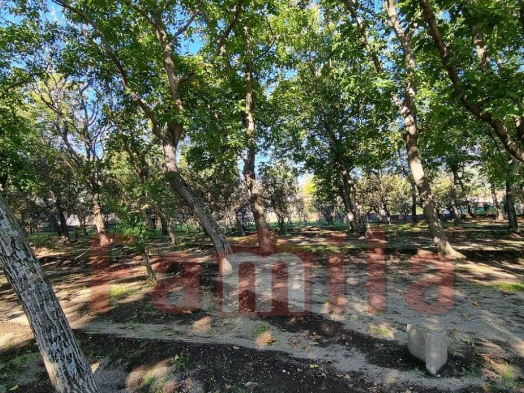 Terreno a Avella in Via Santa Croce - Foto 2